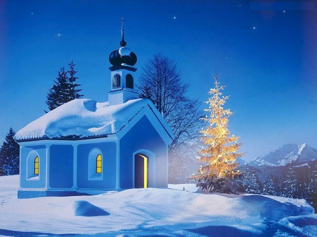 cool_winter-101.jpg