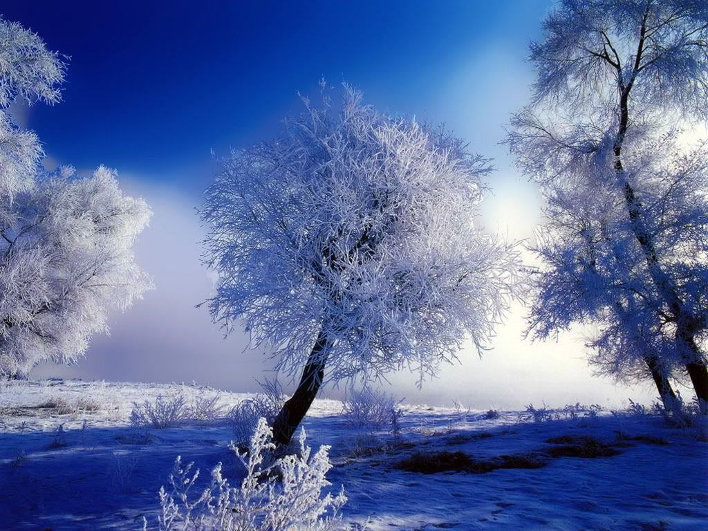 cool_winter-104.jpg