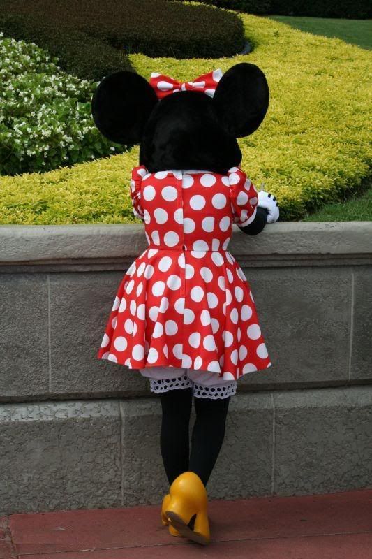 disney-world-resimleri-011884709766.jpg