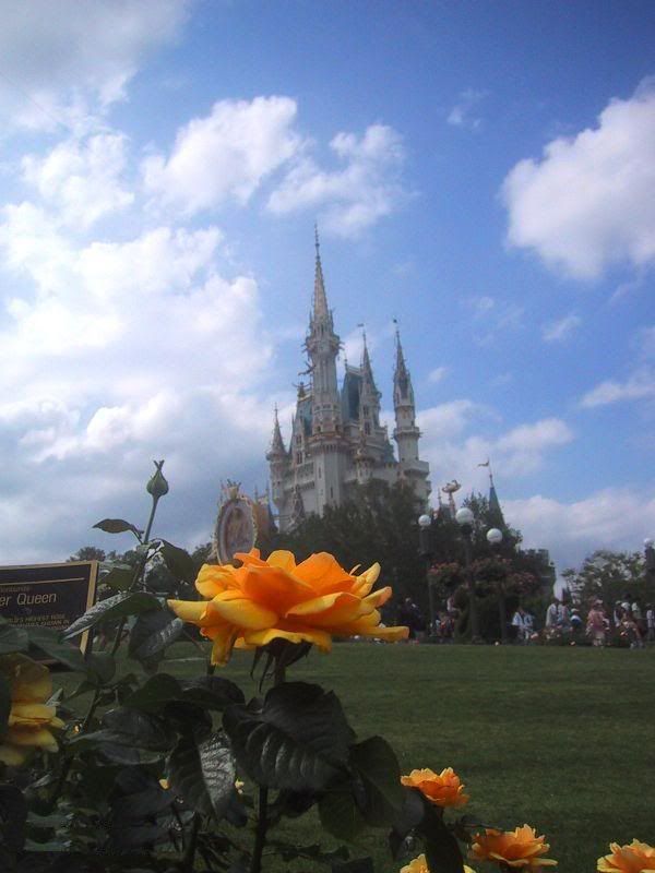 disney-world-resimleri-111884711524.jpg