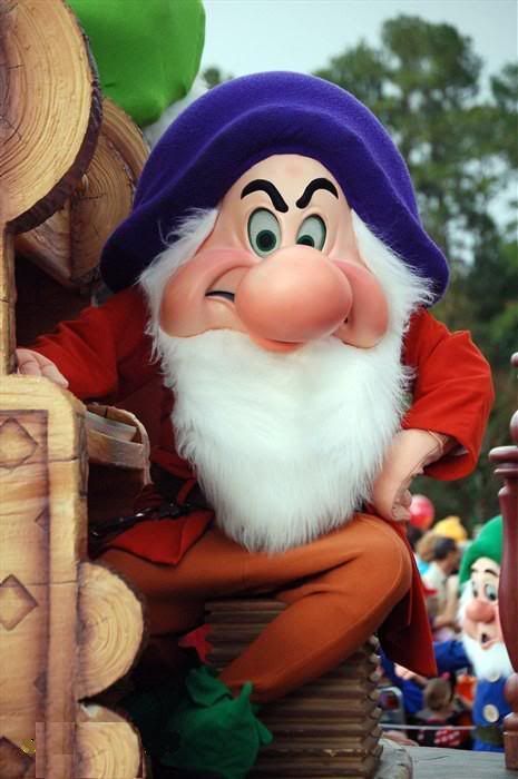disney-world-resimleri-311884711314.jpg
