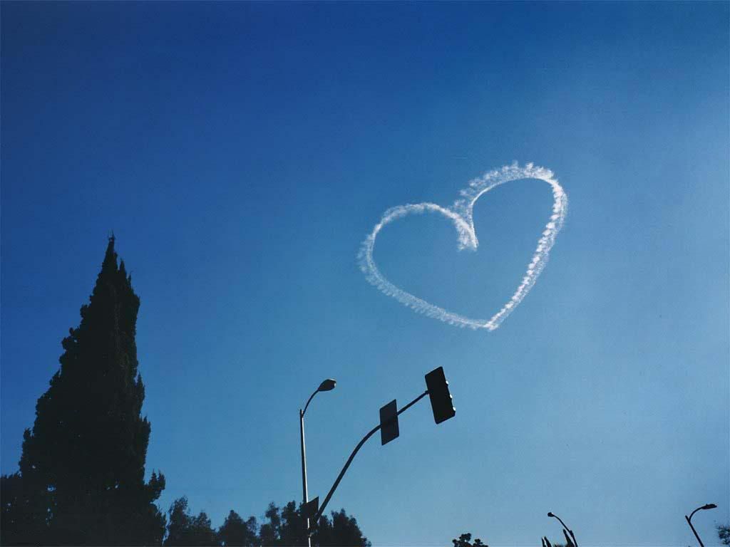 heart.jpg