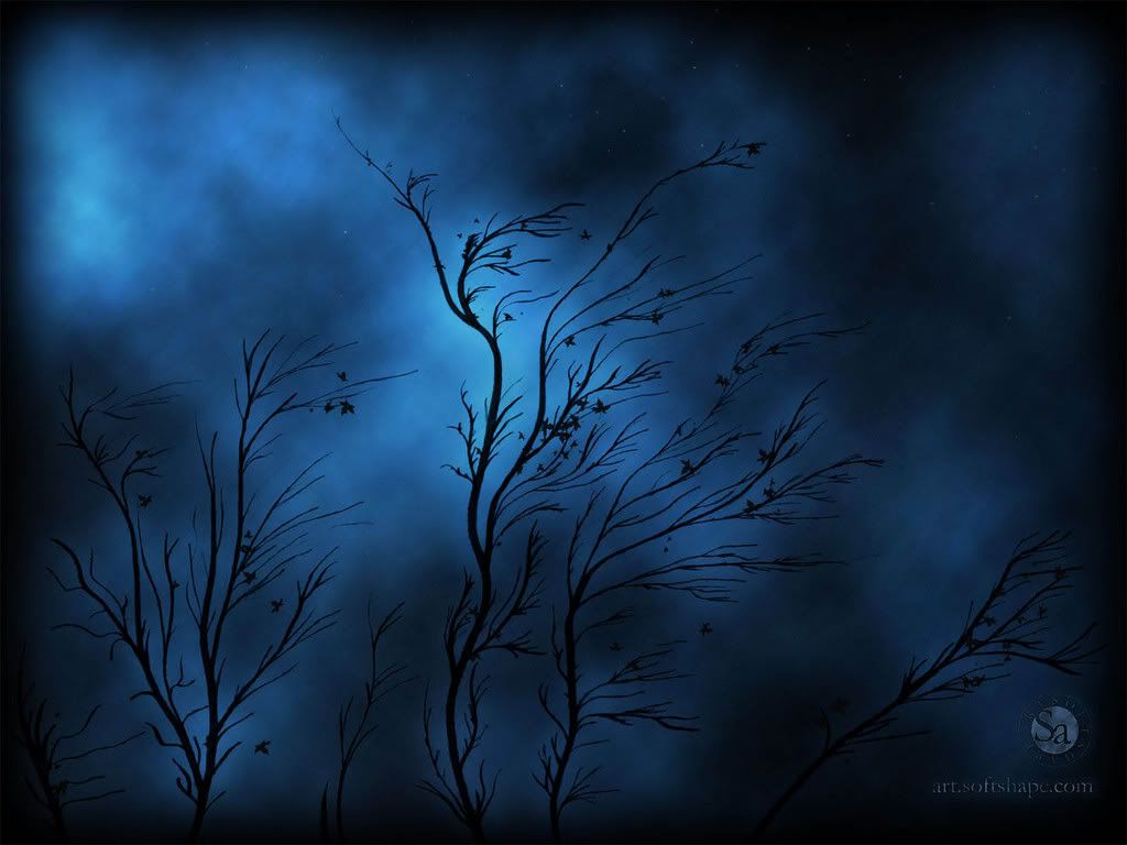 softshapeart_storm_1600x1200.jpg