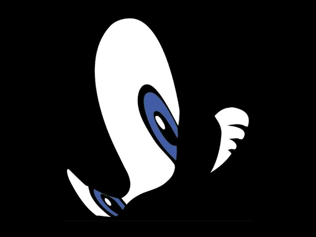 sonic008.jpg