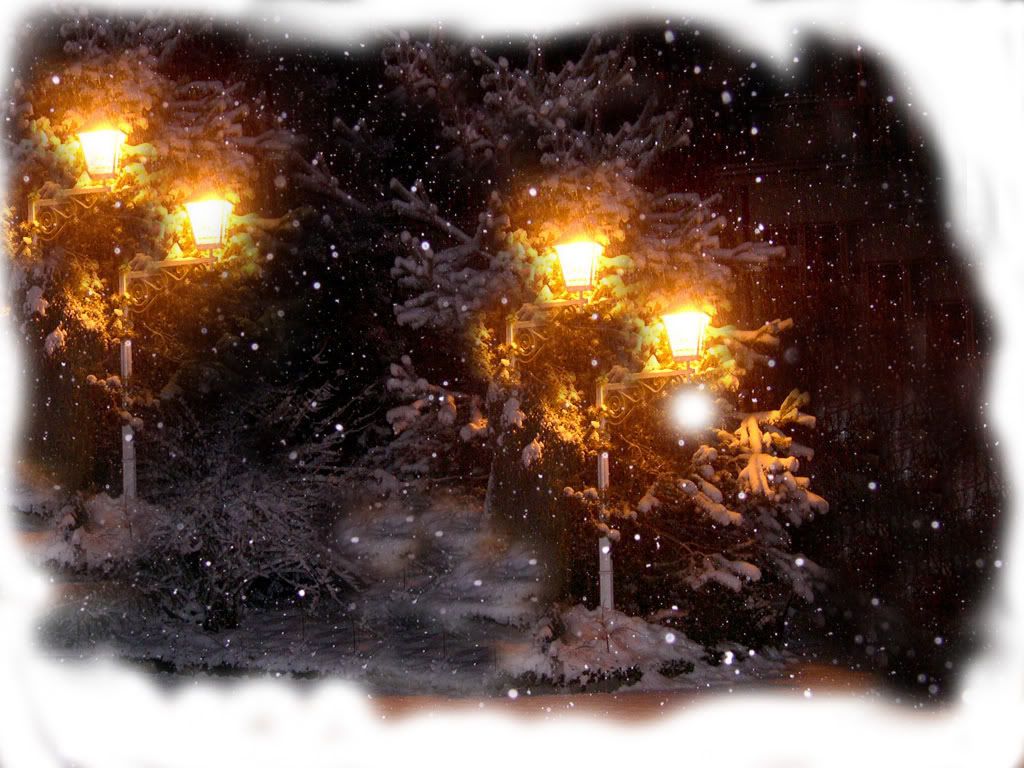winter_Cool-01.jpg