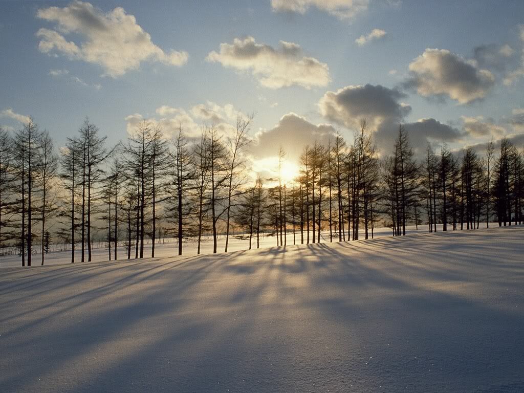winter_snow-000.jpg