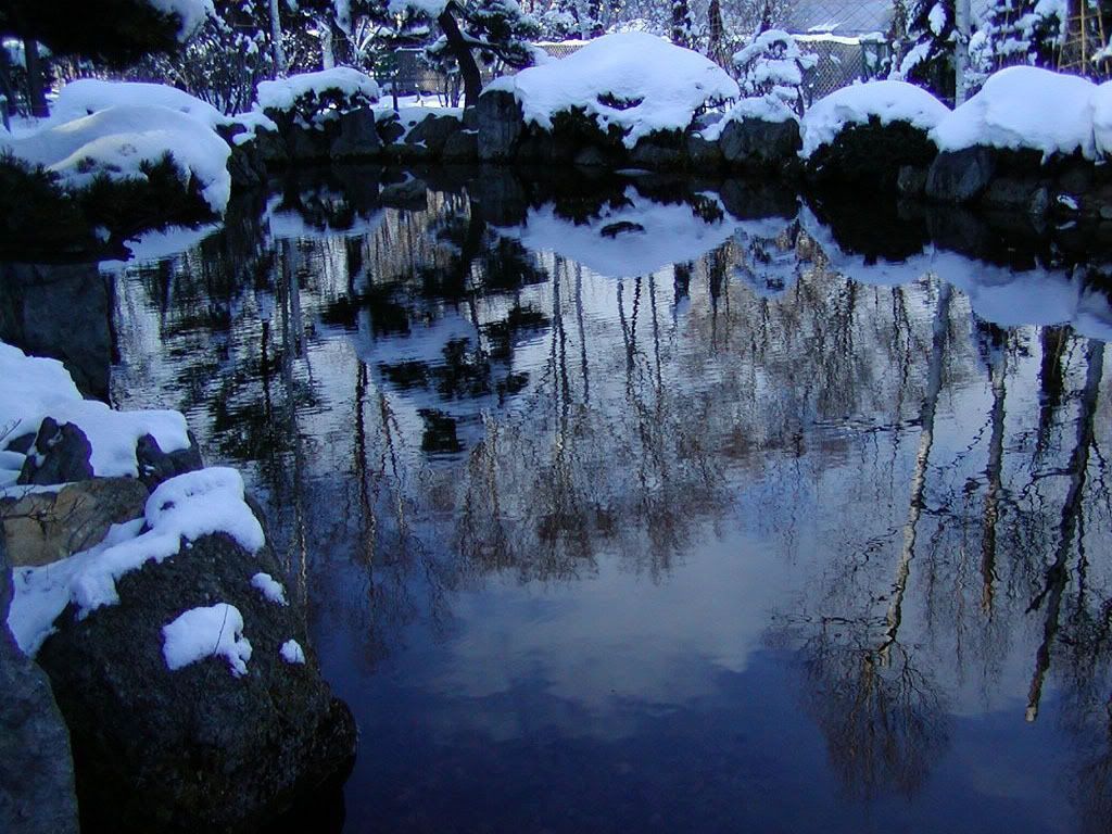 winter_snow-003.jpg