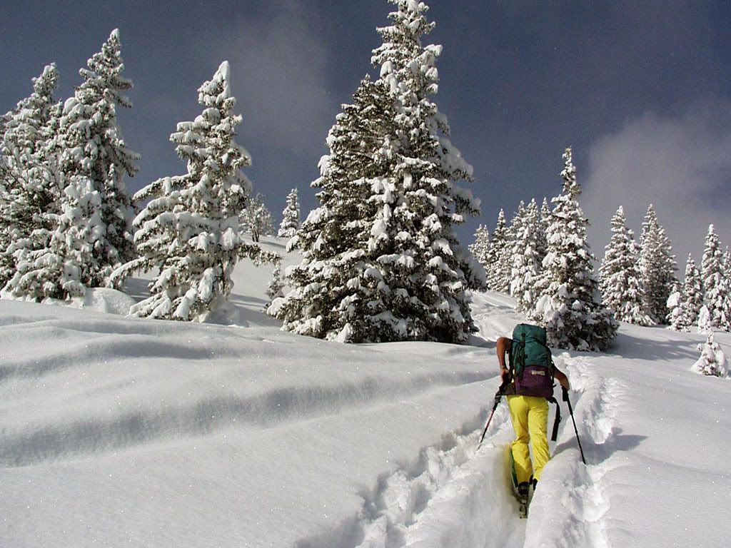 winter_snow-004.jpg