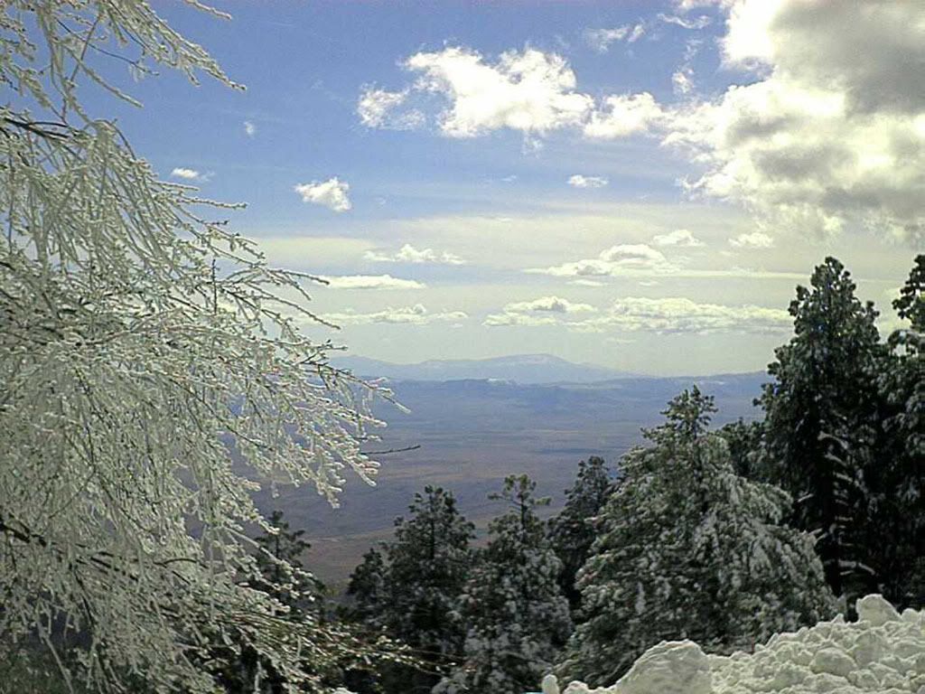 winter_snow-005.jpg