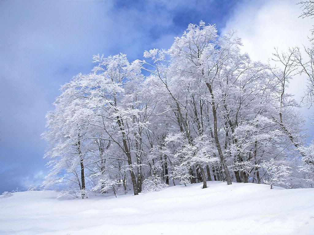 winter_snow-006.jpg