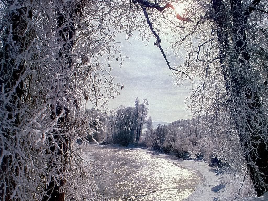 winter_snow-020.jpg
