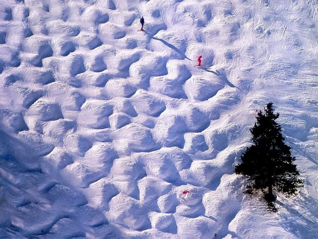 winter_snow-023.jpg