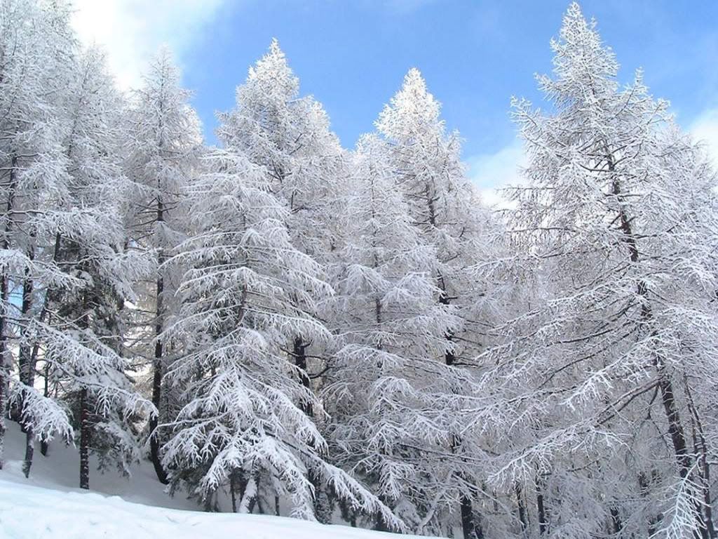 winter_snow-024.jpg