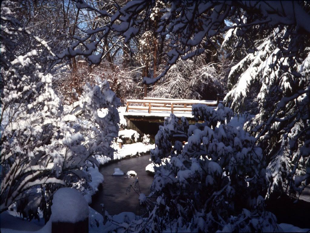 winter_snow-025.jpg