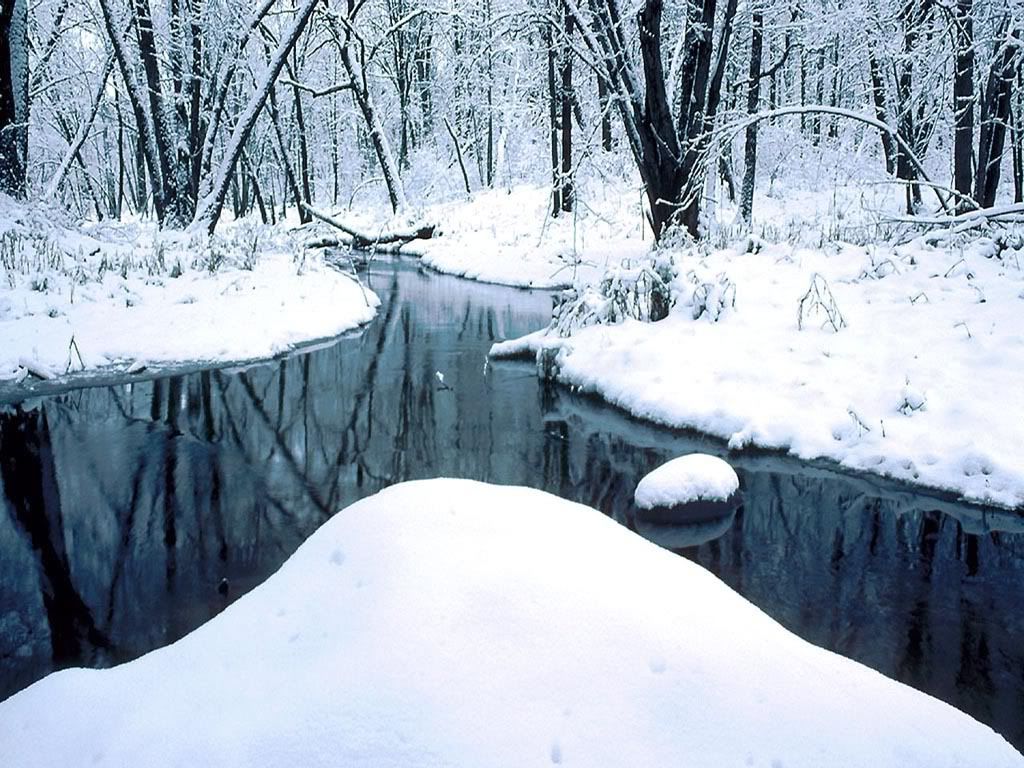 winter_snow-027.jpg
