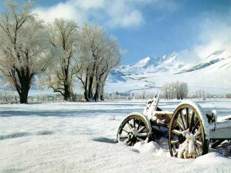 winter_snow-031.jpg