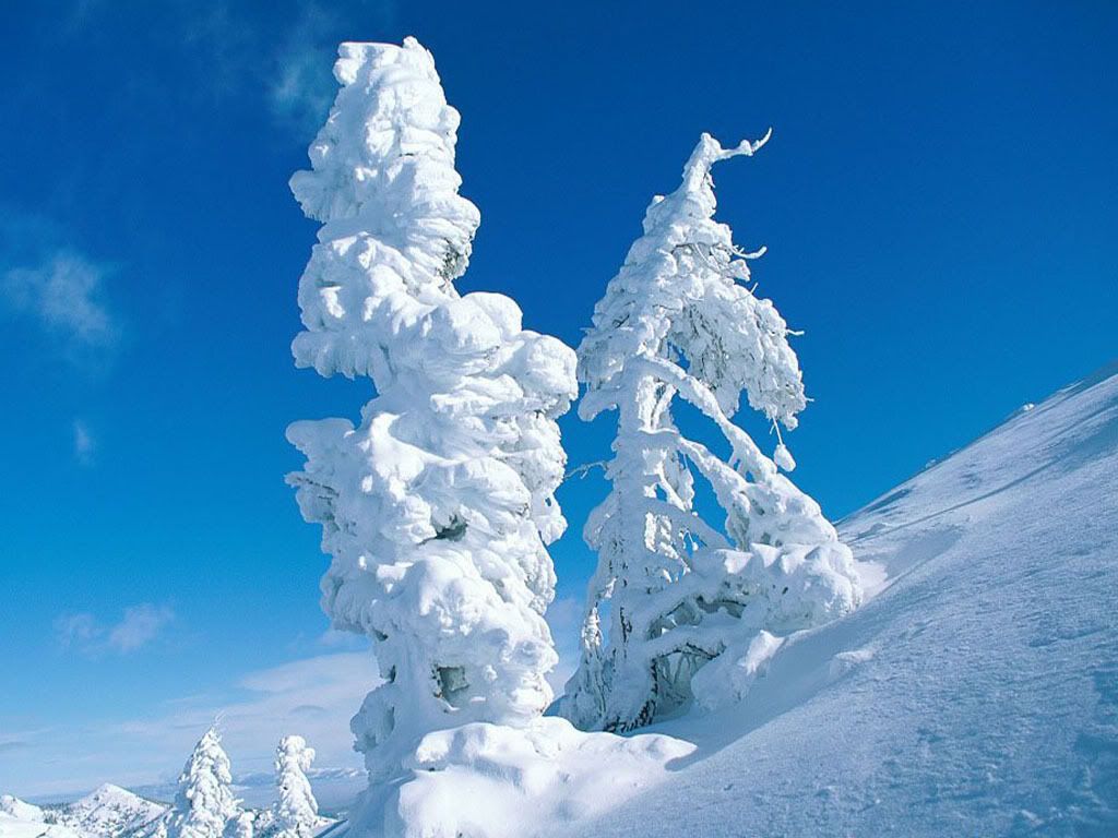 winter_snow-033.jpg