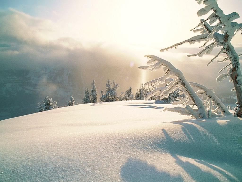 winter_snow-037.jpg