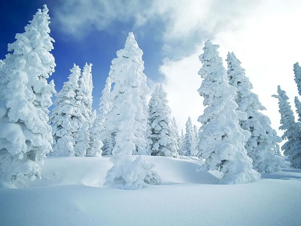 winter_snow-038.jpg