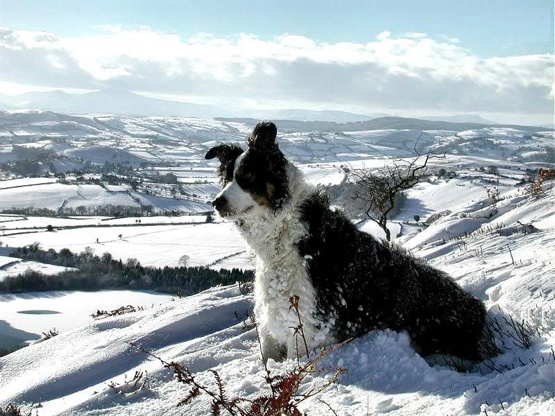 winter_snow-041.jpg