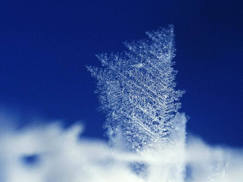 winter_snow-044.jpg