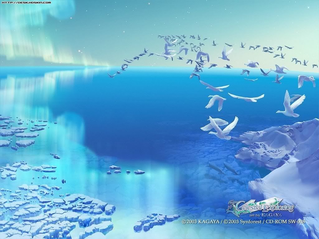 114kagaya-celestial-ex.jpg