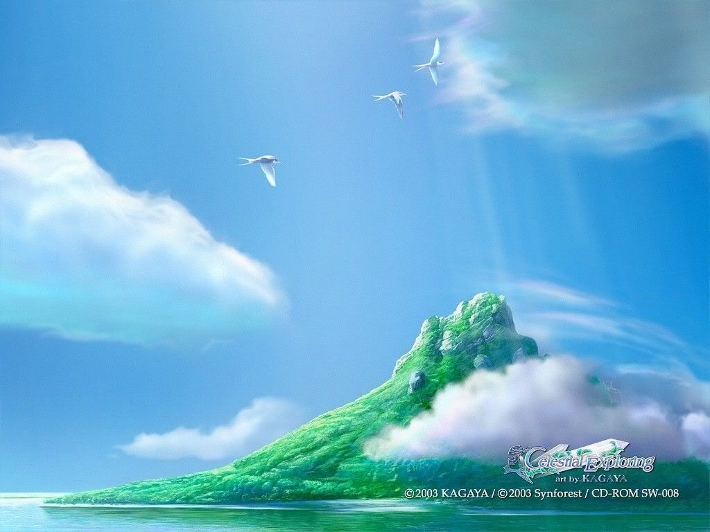 114kagaya-synforest.jpg