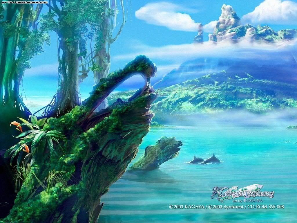 114kagaya-synforest2.jpg