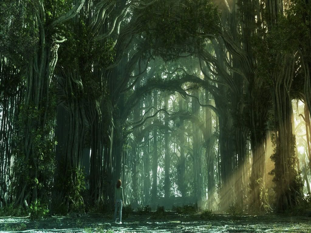 176sun-lightofForest.jpg