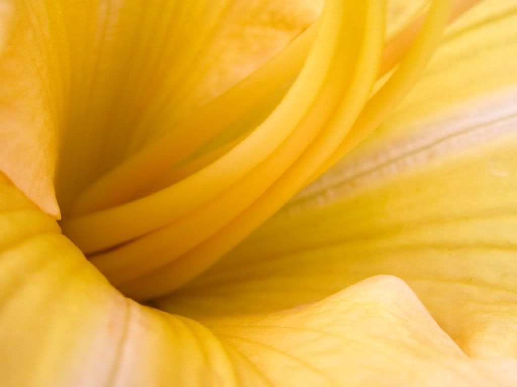 387_4269_0.jpg