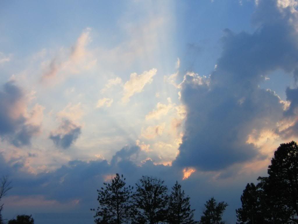 390_4698_0.jpg