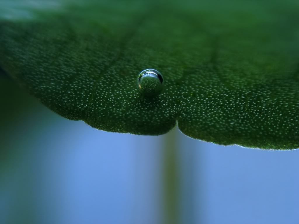 390_4774_0.jpg
