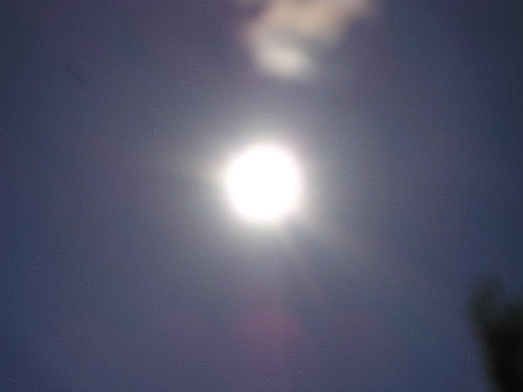 390_4857_0.jpg