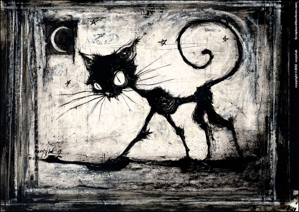 Catty_by_web_spider.jpg
