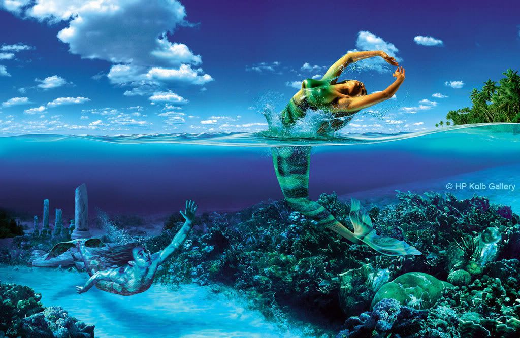Fische_1024_Web.jpg
