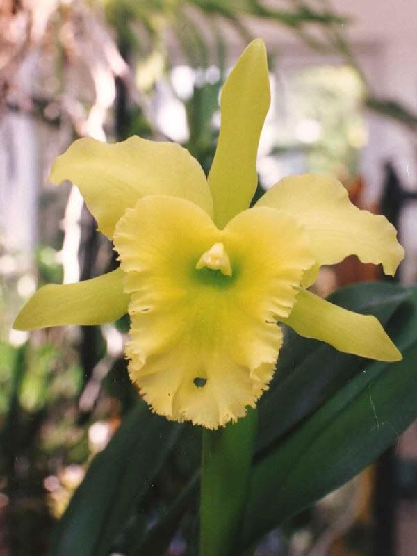 Flowers-021.jpg