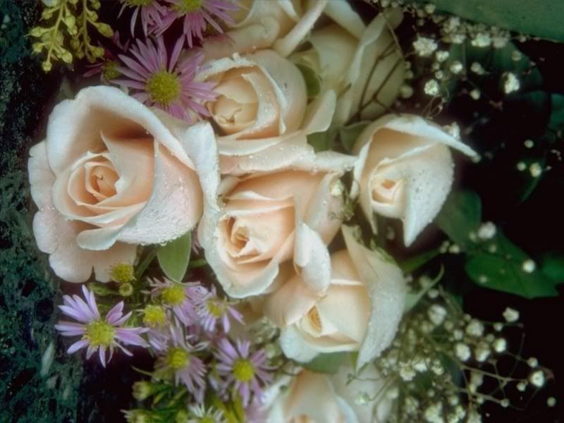 Flowers-046.jpg
