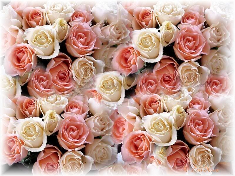 Flowers-1-001.jpg