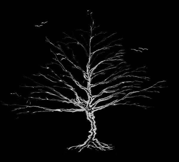 White_tree_by_ImNotTheArtist.jpg