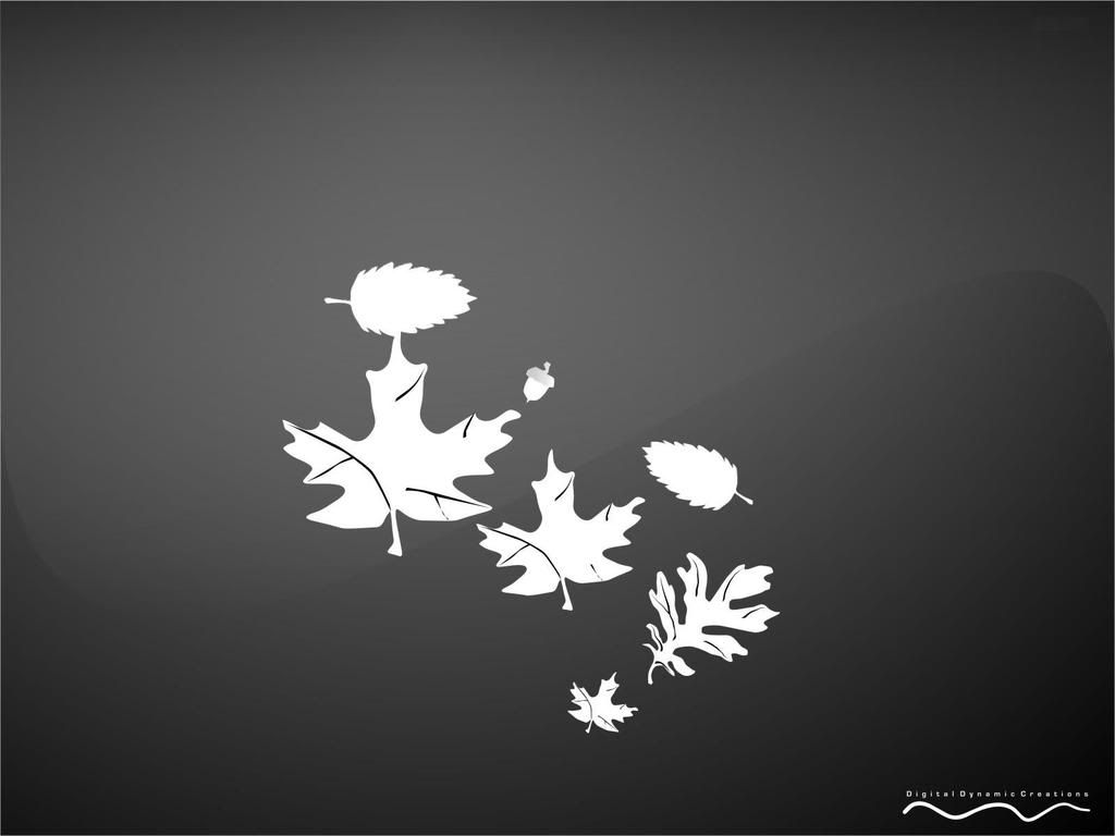 black-and-white-graphics-009.jpg