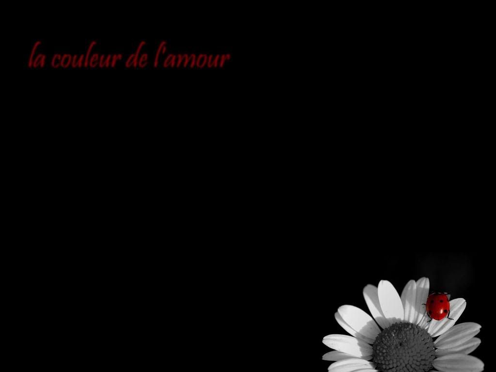 black-and-white-graphics-012.jpg