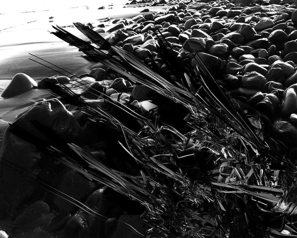 dark-photo-art-019.jpg