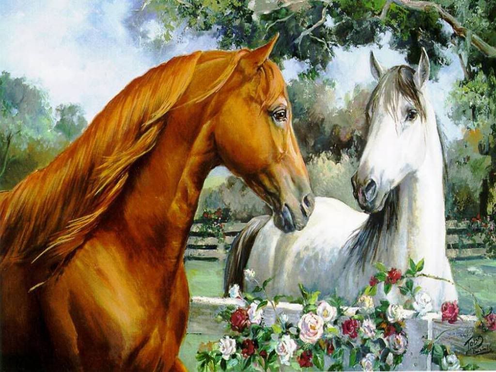 dream_fantasy-010.jpg