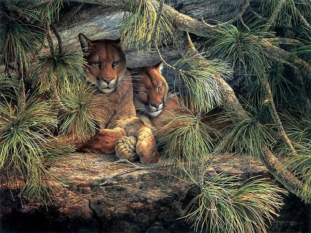 dream_fantasy-018.jpg