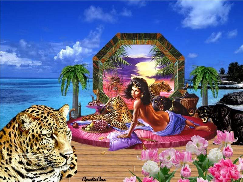 dream_fantasy-022.jpg