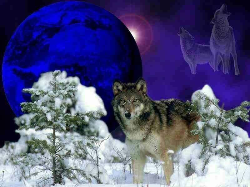 dream_fantasy-033.jpg