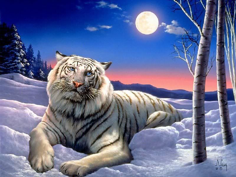 dream_fantasy-045.jpg