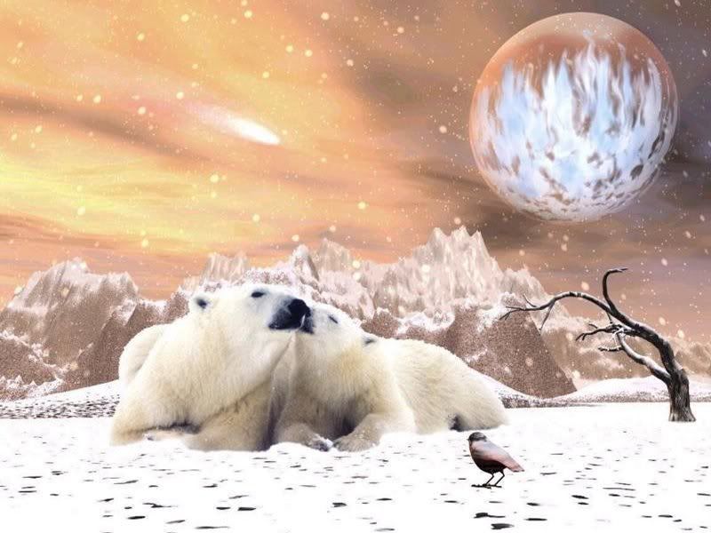 dream_fantasy-048.jpg