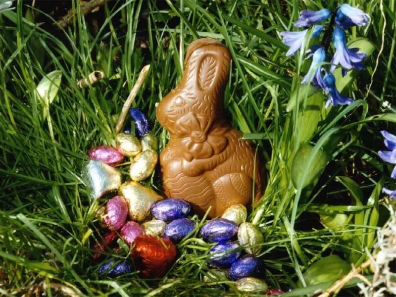 easter800.jpg