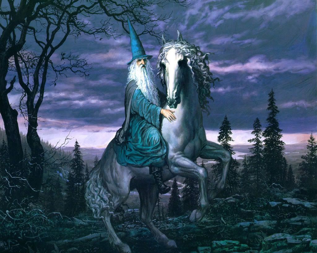 fantazy-1114.jpg